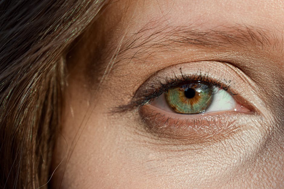 Conservatory Roofs grants in Golborne