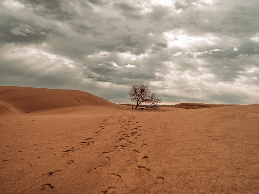 Conservatory Roofs grants in Hattersley