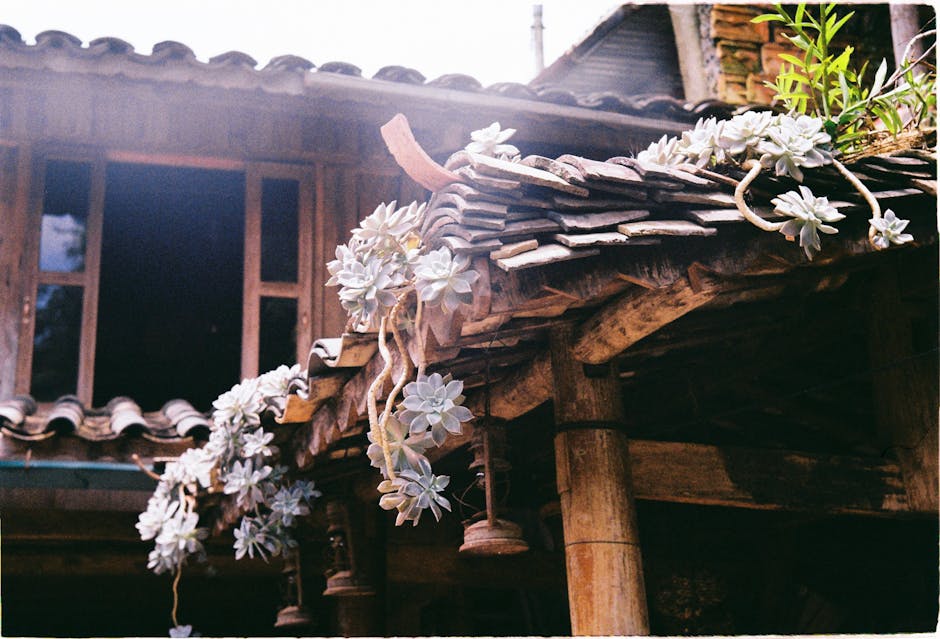 Conservatory Roofs installer in Heysham