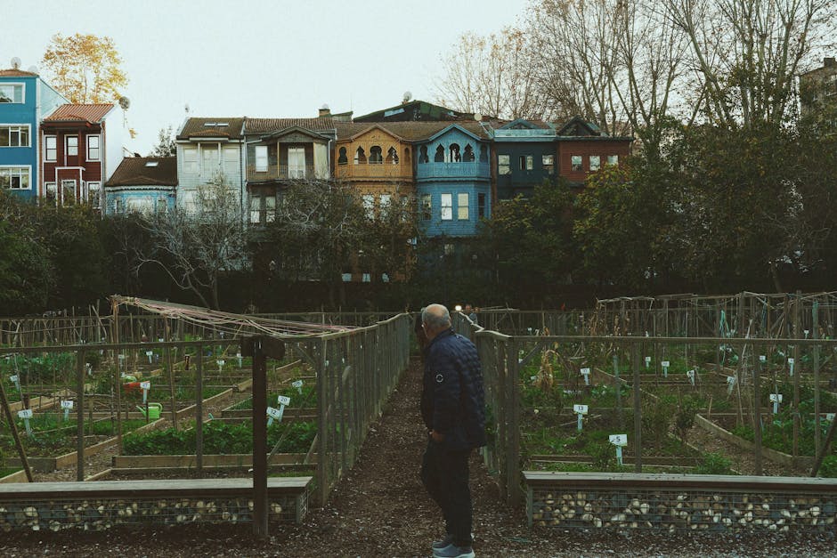 Conservatory Roofs installer in Ince-in-Makerfield