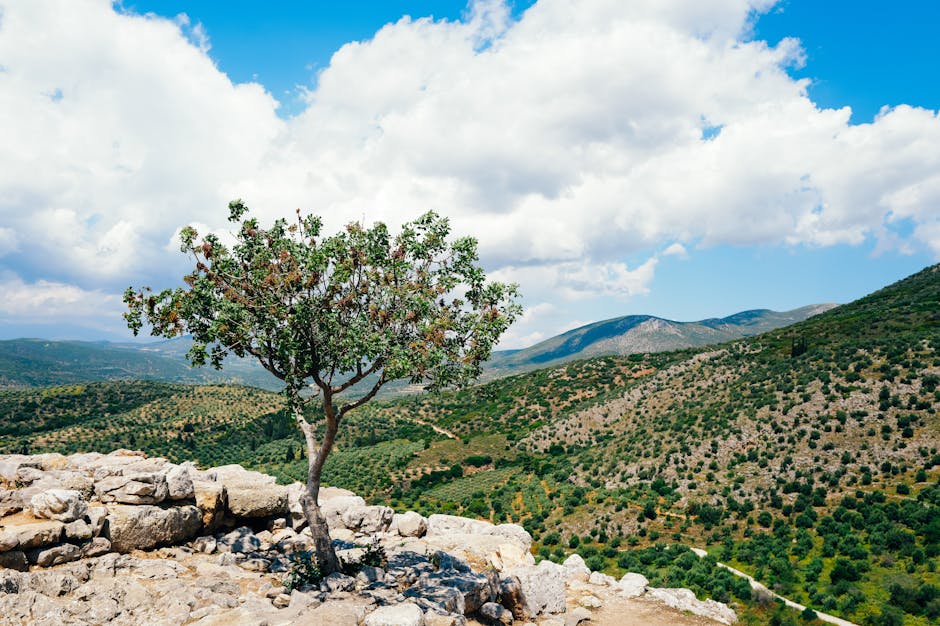Conservatory Roofs installer in Little Lever