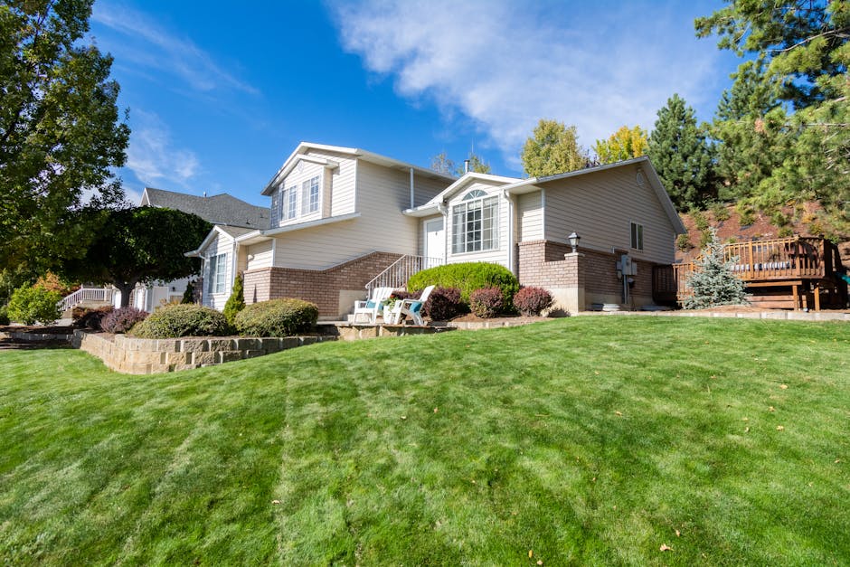 Conservatory Roofs grants in Littleborough