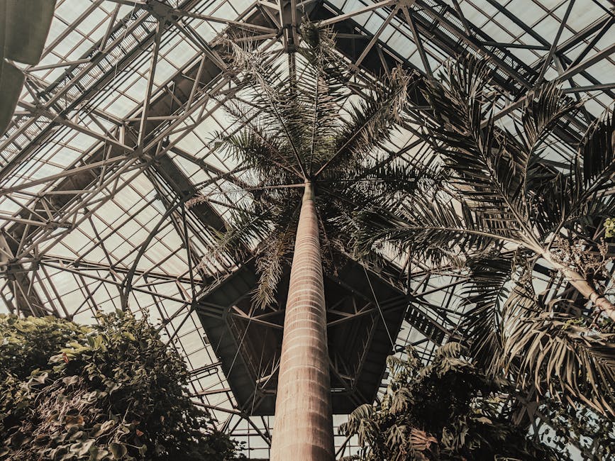 Conservatory Roofs grants in Glasgow