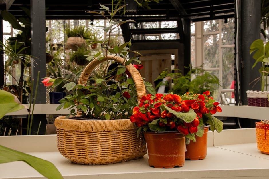 Conservatory Roofs hero image