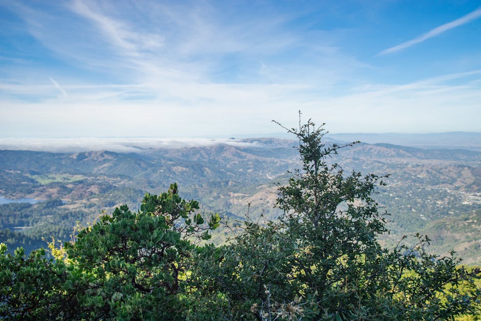 Conservatory Roofs hero image
