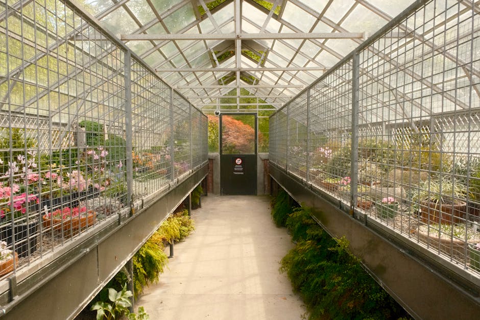 Conservatory Roofs grants in Gloucester