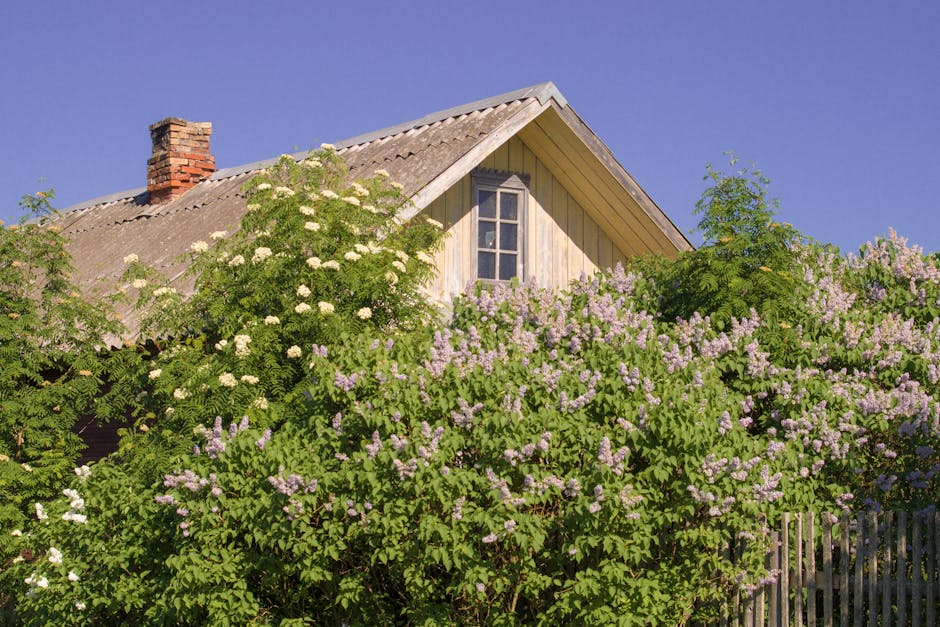 Conservatory Roofs installer in Moreton