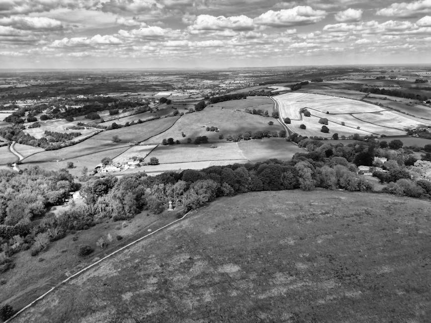 Conservatory Roofs hero image