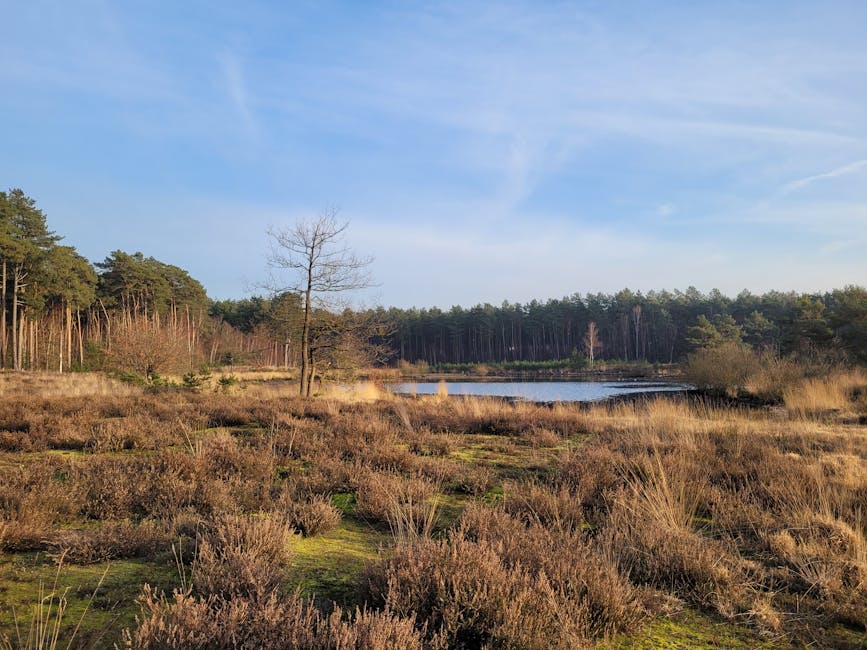 Conservatory Roofs grants in Northenden