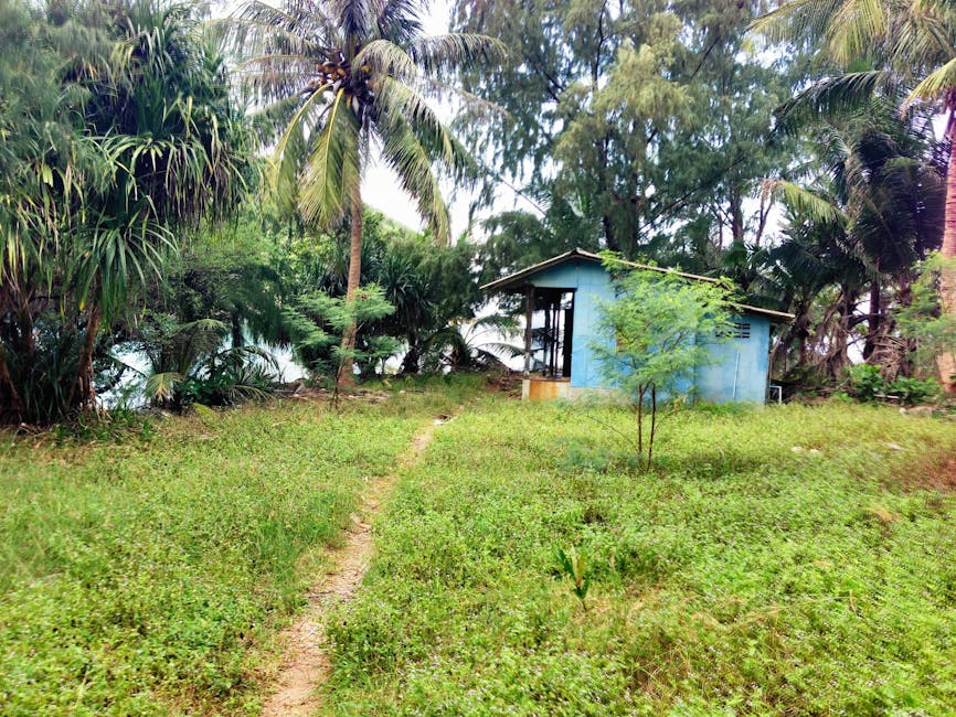 Conservatory Roofs grants in Penwortham
