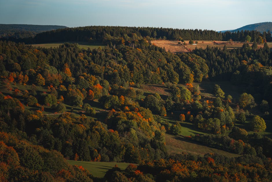 Conservatory Roofs grants in Reddish