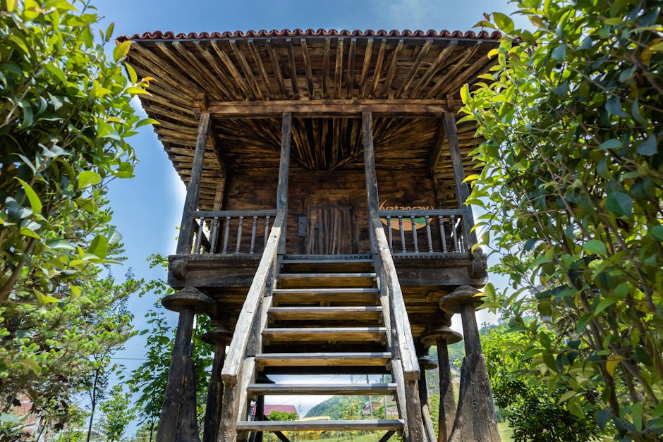 Conservatory Roofs hero image
