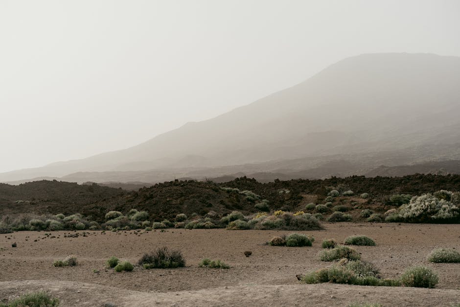 Conservatory Roofs installer in Skelmersdale