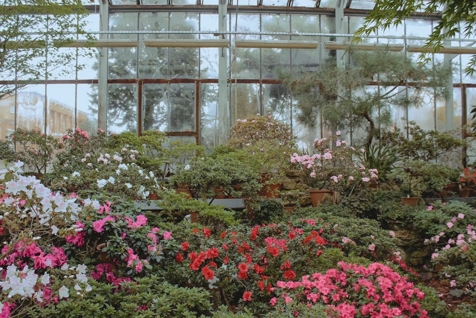 Conservatory Roofs installer in Ipswich