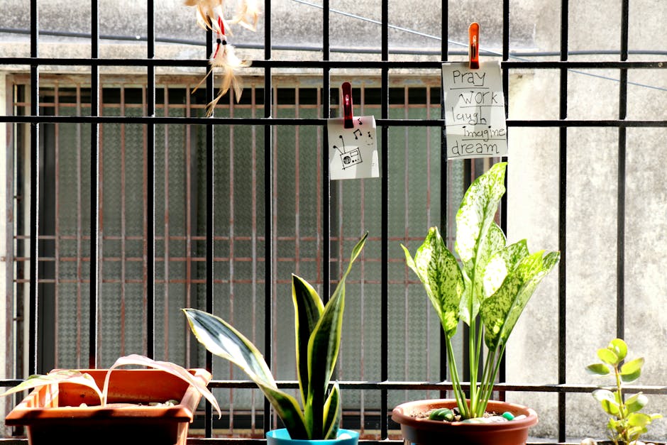 Conservatory Roofs installer in South Turton