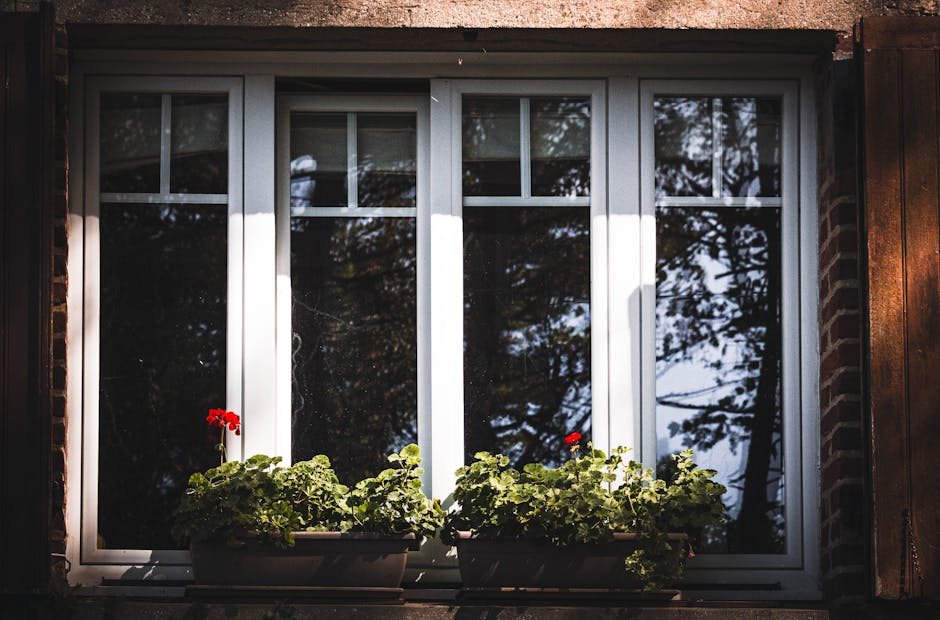 Double Glazing hero image