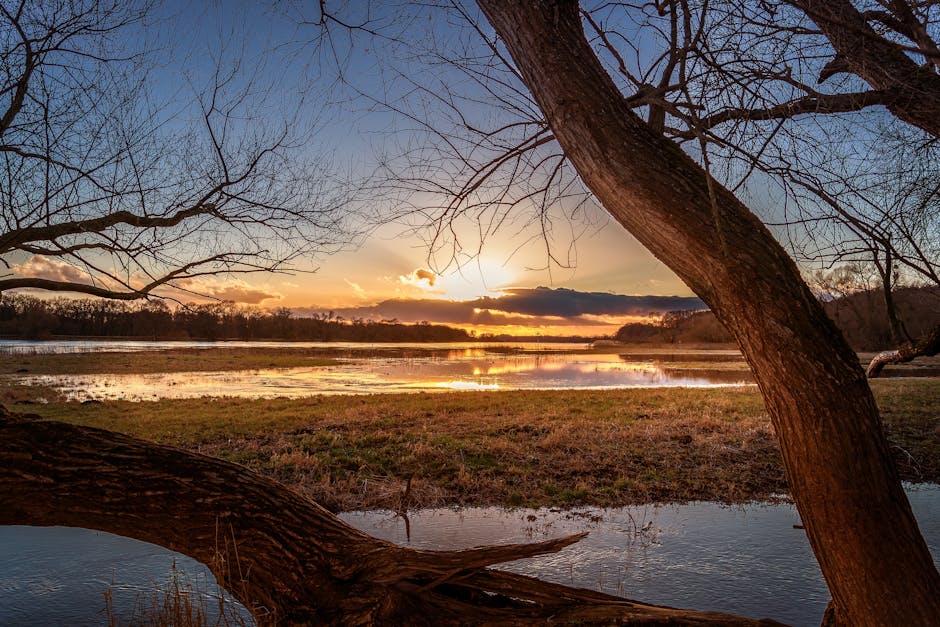 Double Glazing grants in Wythenshawe