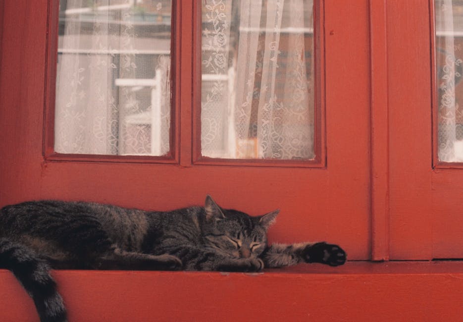 Double Glazing grants in Portsmouth