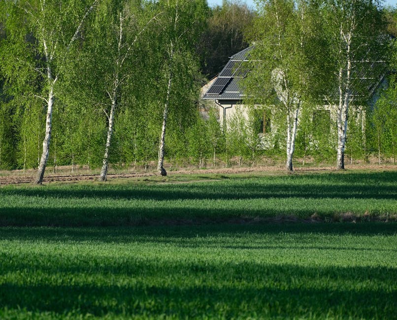 Double Glazing grants in Salford