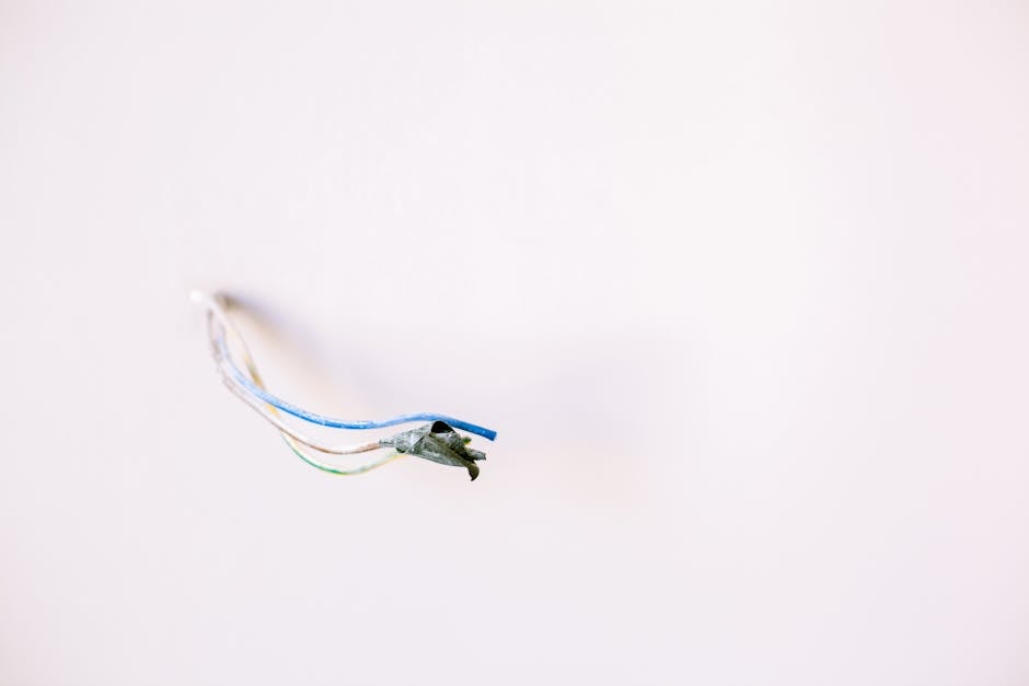 Double Glazing hero image