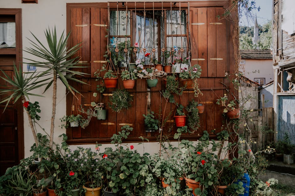 Double Glazing hero image