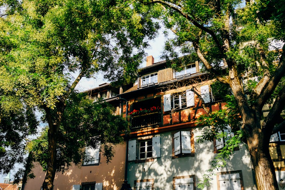 Double Glazing hero image