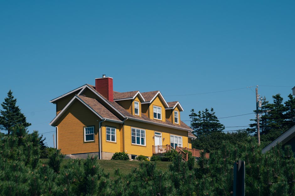 Double Glazing grants in Hyde