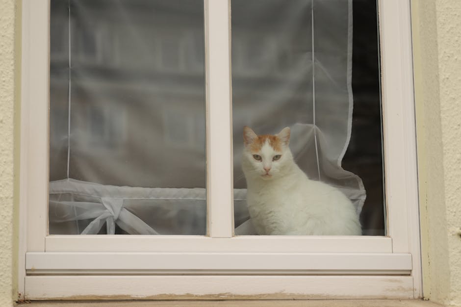 Double Glazing hero image