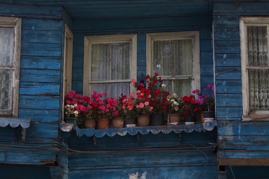 Double Glazing hero image