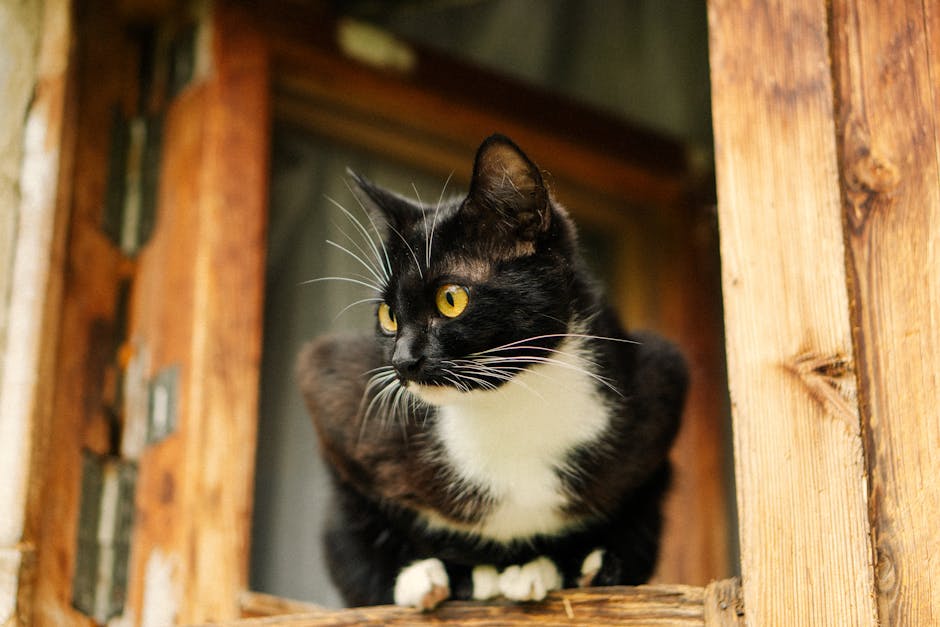 Double Glazing hero image