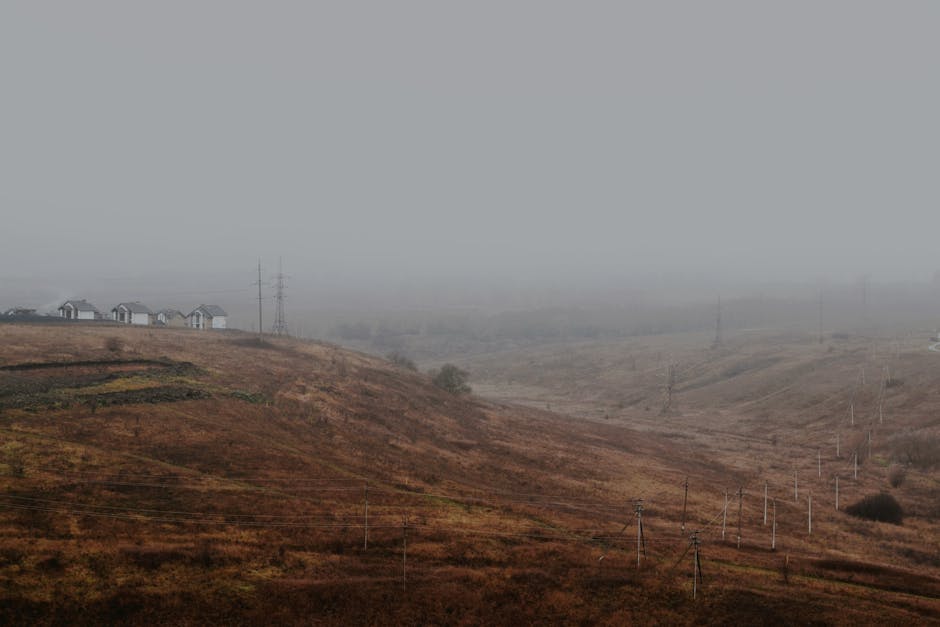 Electric Vehicles hero image