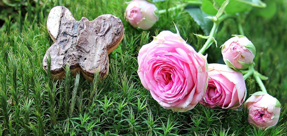 Electric Vehicles hero image