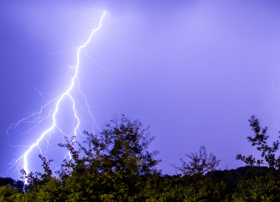 Electric Vehicles hero image