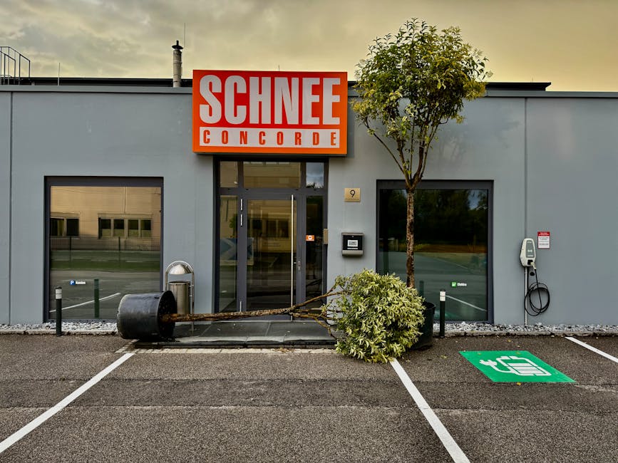 Electric Vehicles hero image