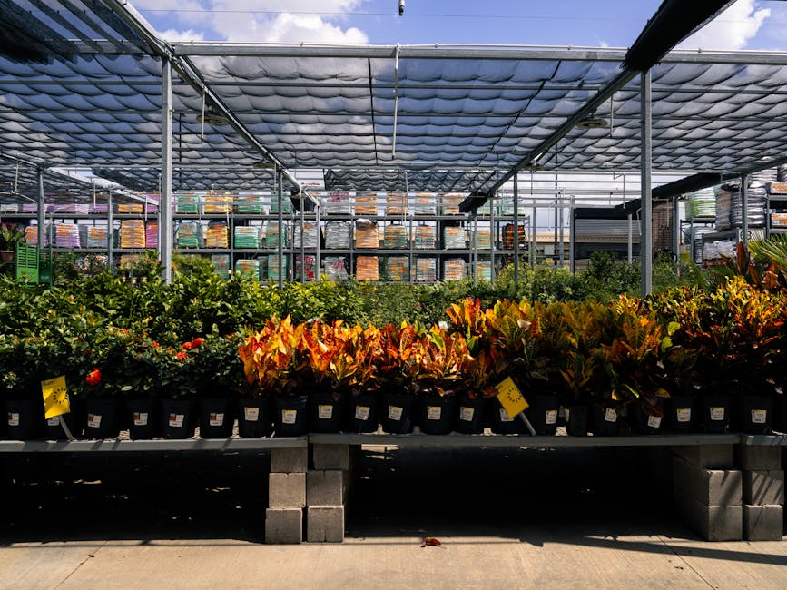 Heat Pumps installer in Timperley