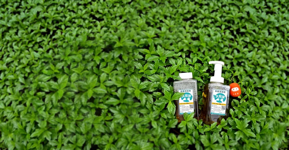 Heat Pumps hero image