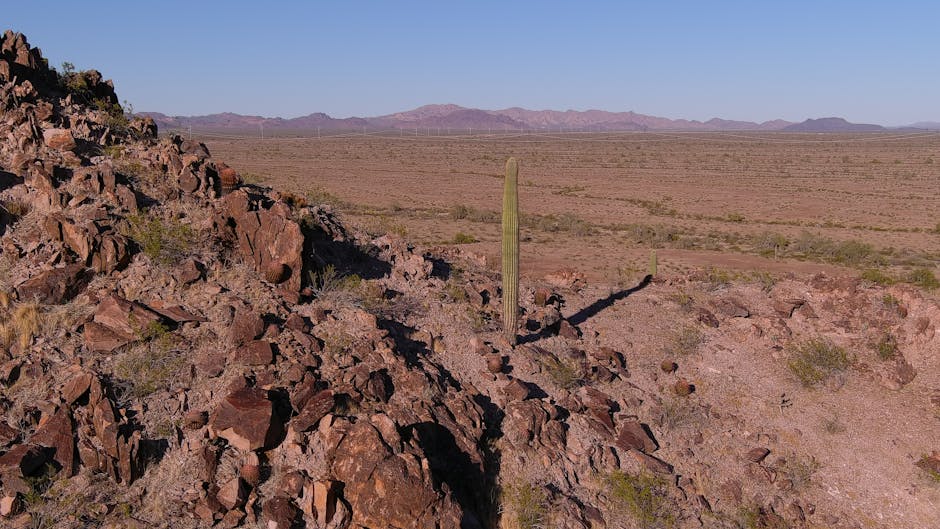 Heat Pumps hero image