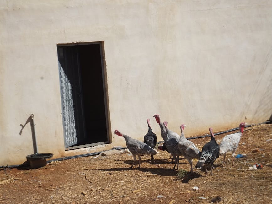 Heat Pumps hero image