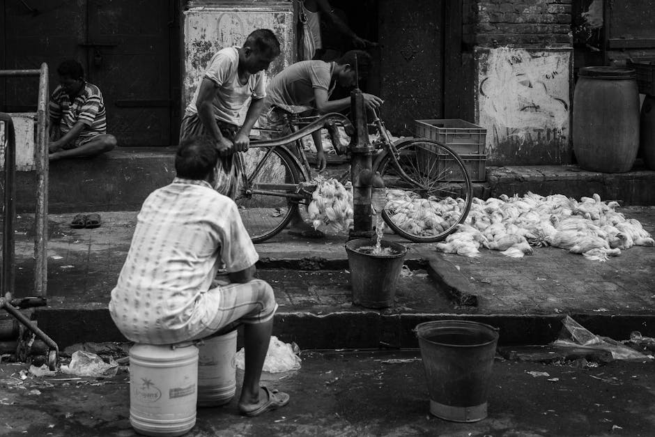 Heat Pumps installer in Beswick