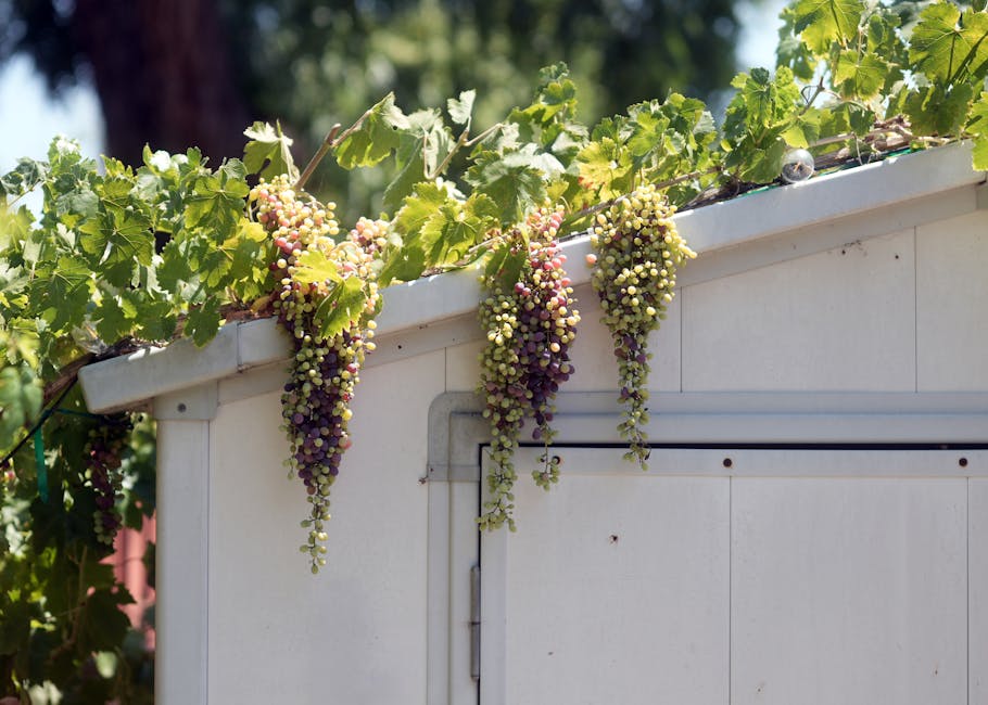 Heat Pumps installer in Birkdale