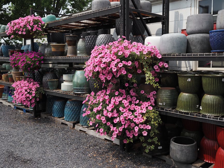 Heat Pumps installer in Chorlton-cum-Hardy