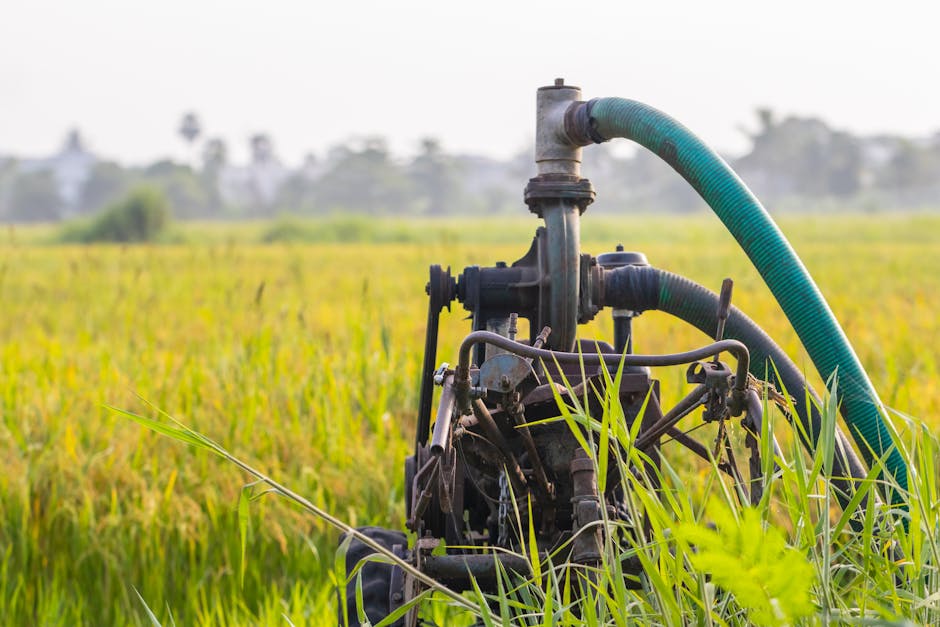 Heat Pumps hero image