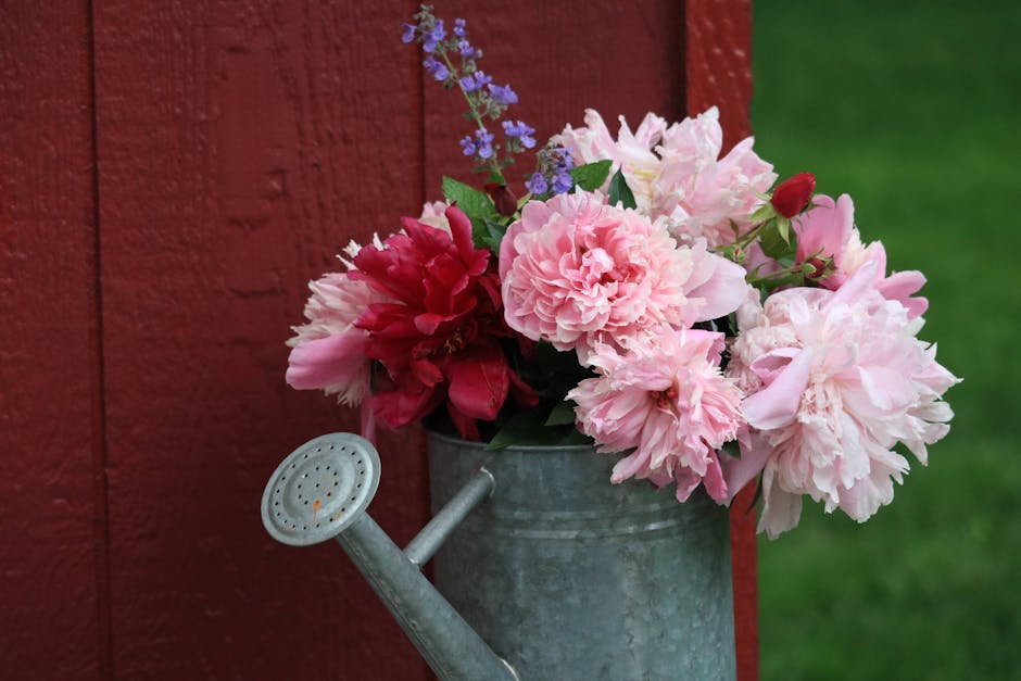 Heat Pumps hero image