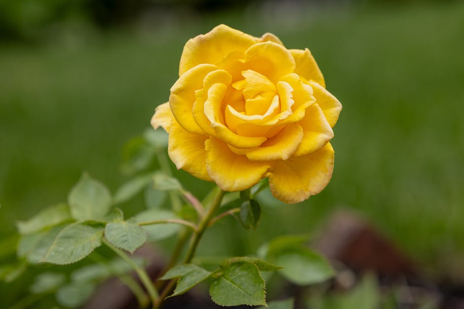 Heat Pumps grants in Ince-in-Makerfield