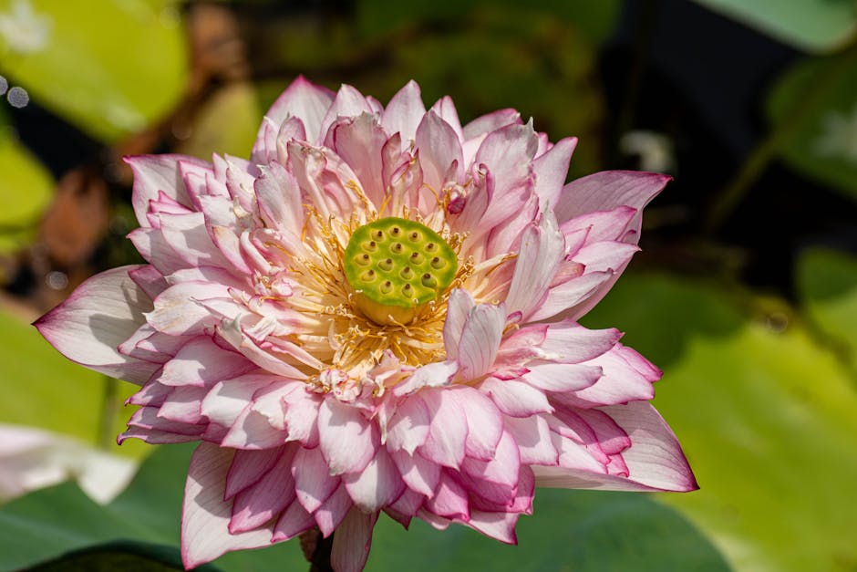 Heat Pumps grants in Leyland