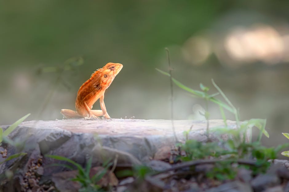 Heat Pumps installer in Marple