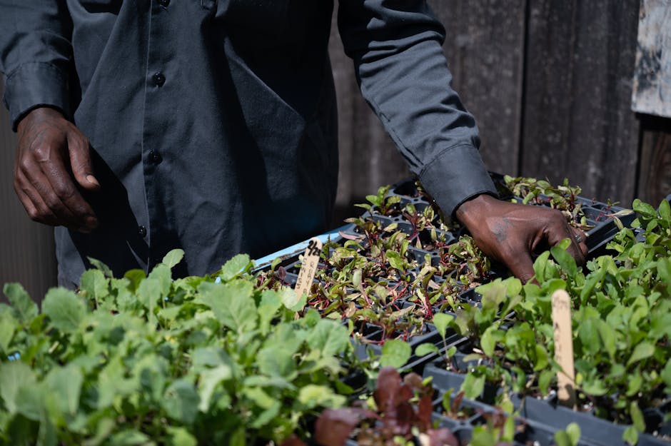 Heat Pumps hero image