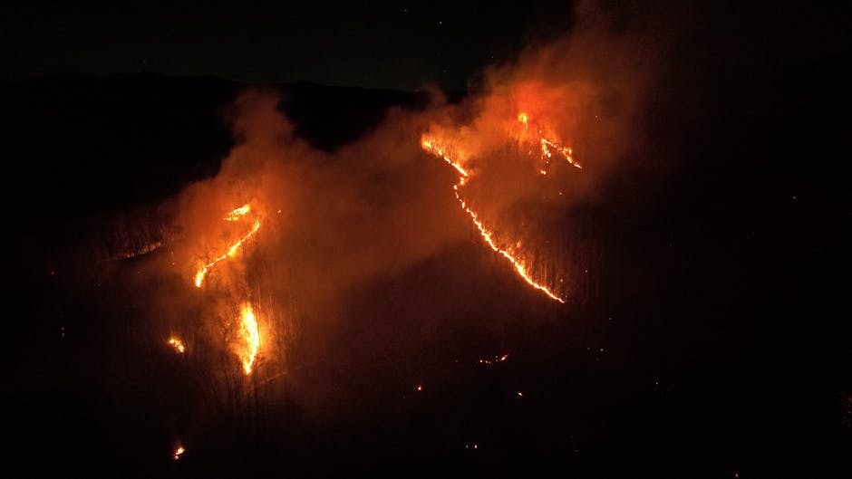 Heat Pumps hero image