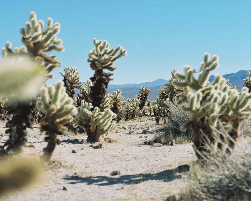 Heat Pumps grants in Ipswich