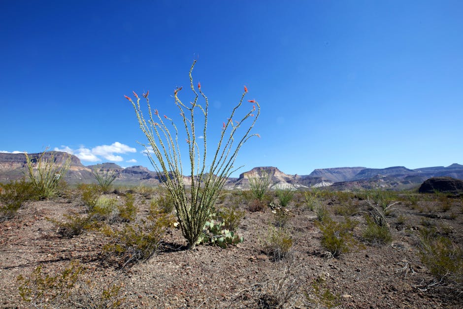 Heat Pumps grants in Skelmersdale